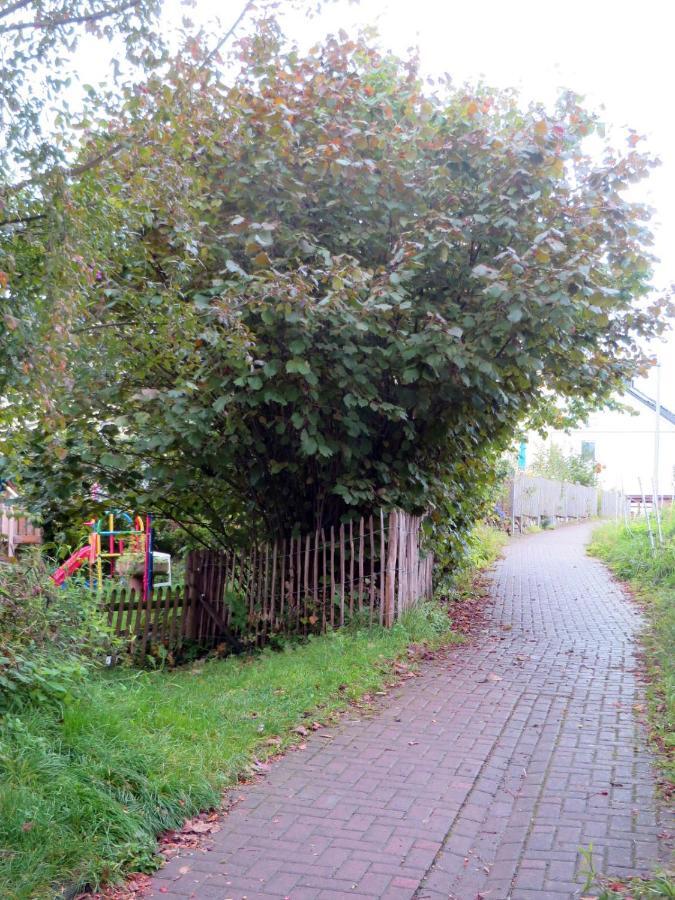 Gemuetliche Fachwerkwohnung Alfter Exterior photo